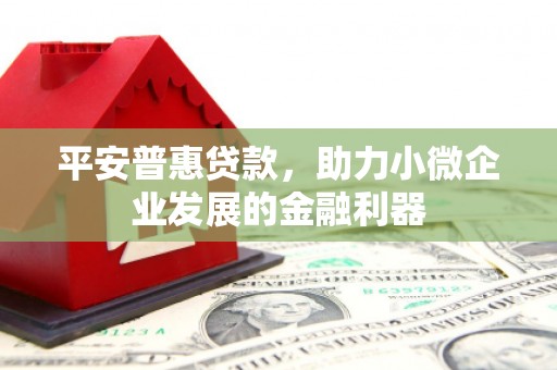 长武平安普惠贷款，助力小微企业发展的金融利器