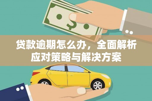 长武贷款逾期怎么办，全面解析应对策略与解决方案